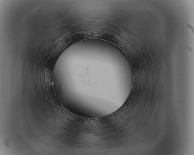 X0000091301058200708241046