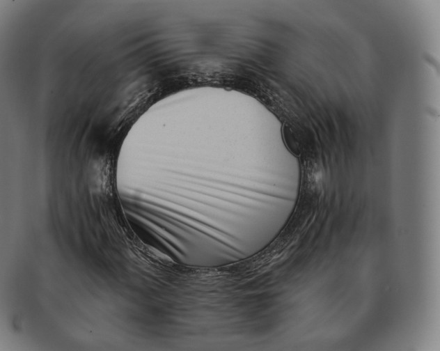 X0000091301060200708241046