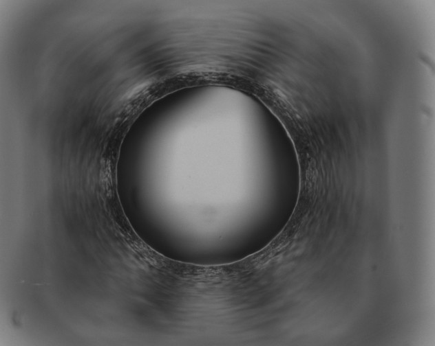 X0000091301062200708241046