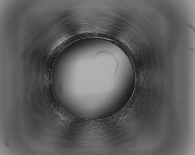 X0000091301064200708241046