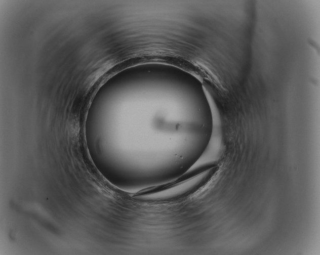 X0000091301065200708241046