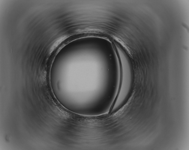 X0000091301066200708241046