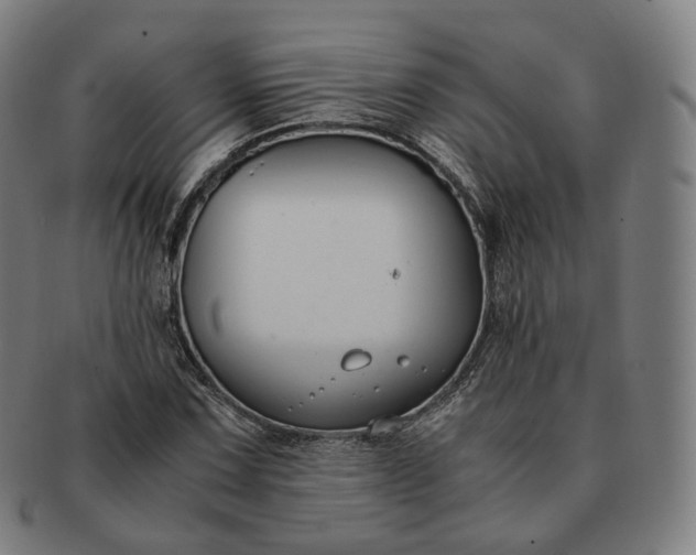 X0000091301067200708241046