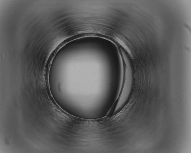 X0000091301068200708241046