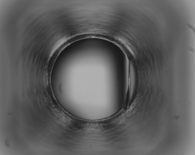 X0000091301069200708241046