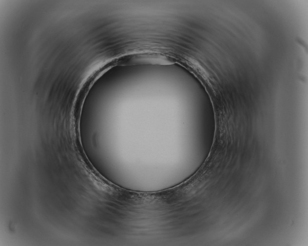 X0000091301072200708241046