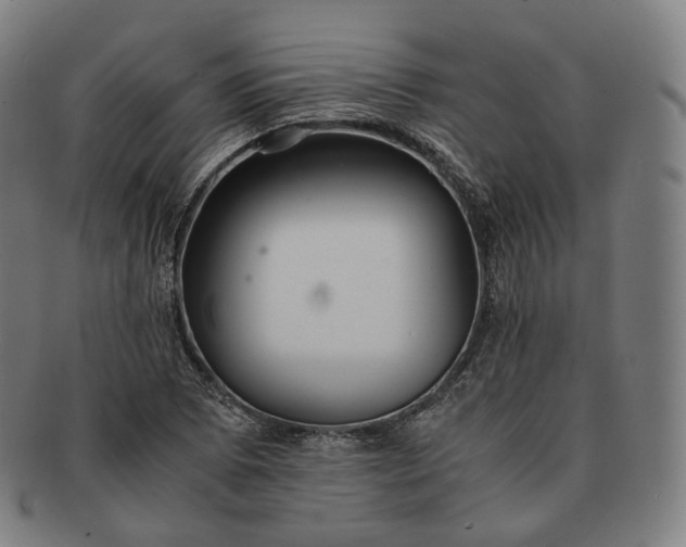 X0000091301073200708241046