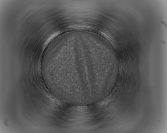 X0000091301074200708241046