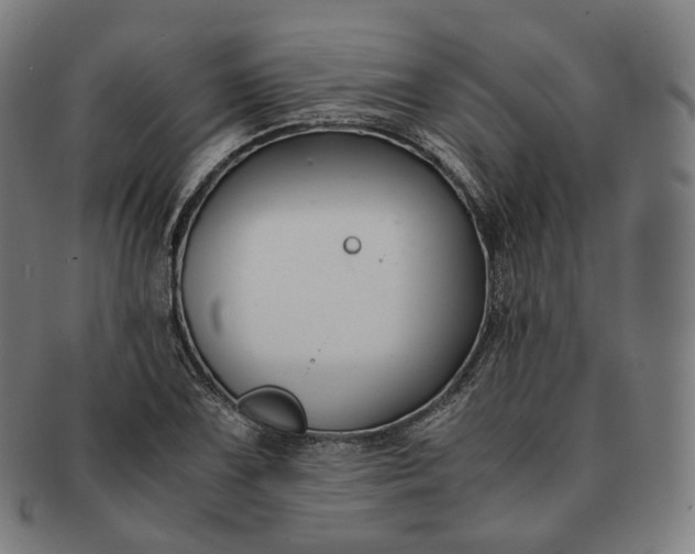 X0000091301075200708241046