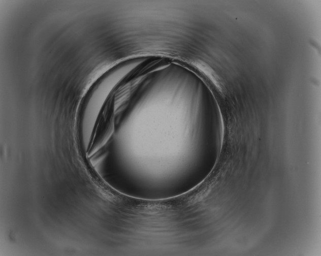 X0000091301077200708241045