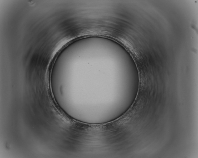 X0000091301078200708241045