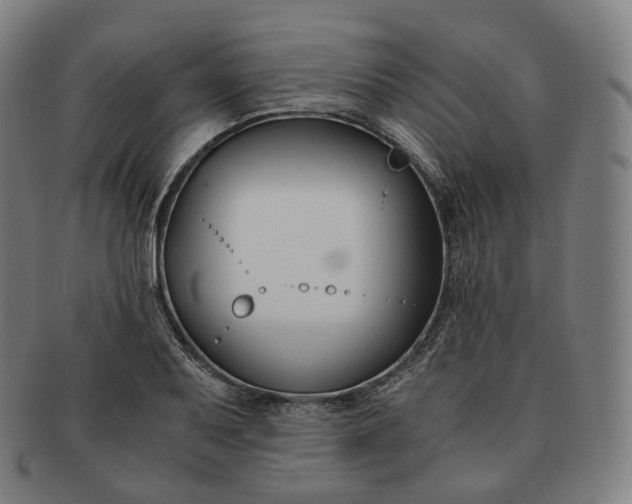 X0000091301079200708241045