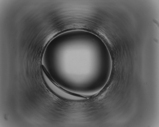 X0000091301081200708241045