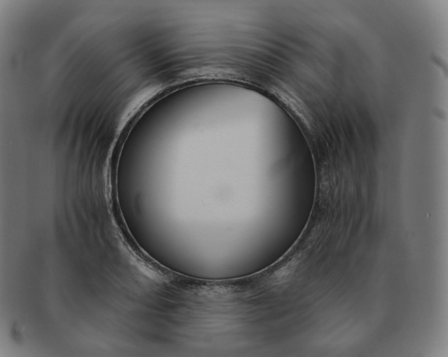 X0000091301082200708241045