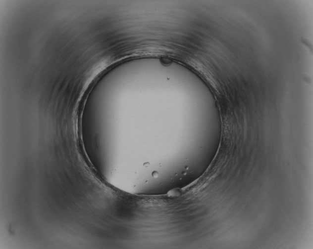 X0000091301083200708241045