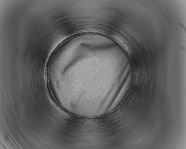 X0000091301084200708241045