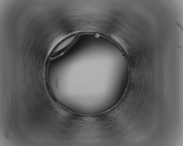 X0000091301085200708241045