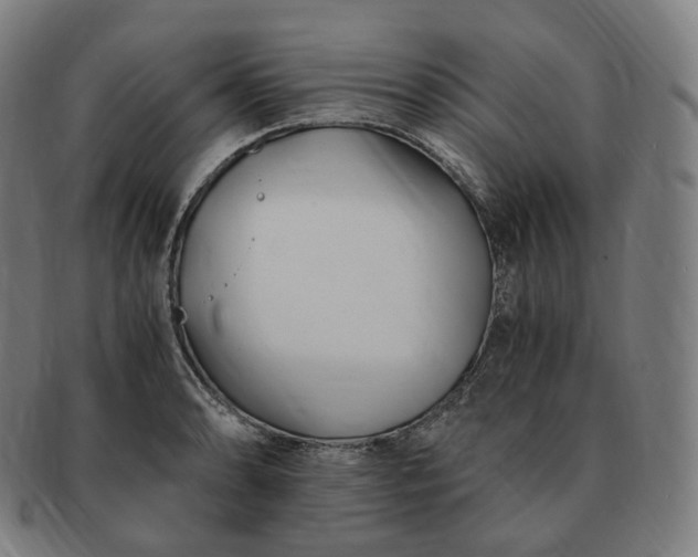 X0000091301086200708241045