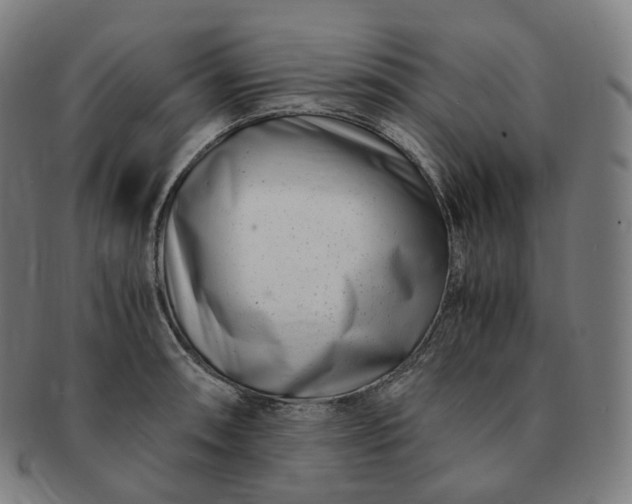 X0000091301090200708241045