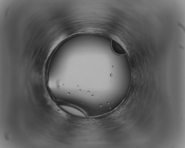 X0000091301091200708241045