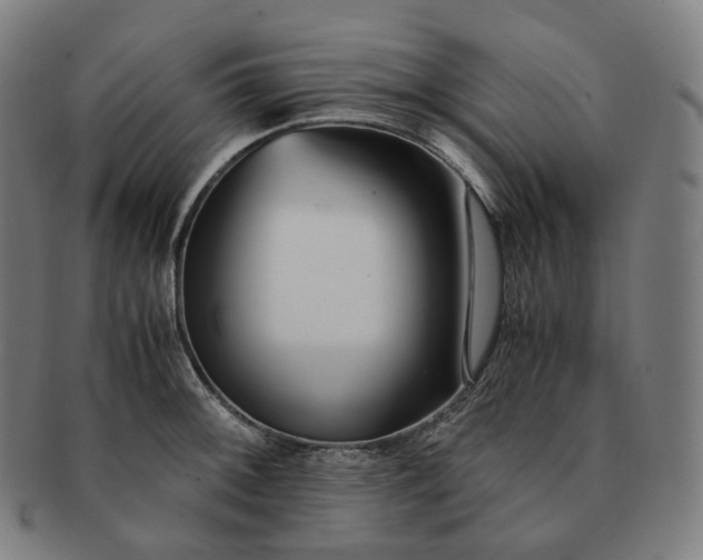 X0000091301092200708241045