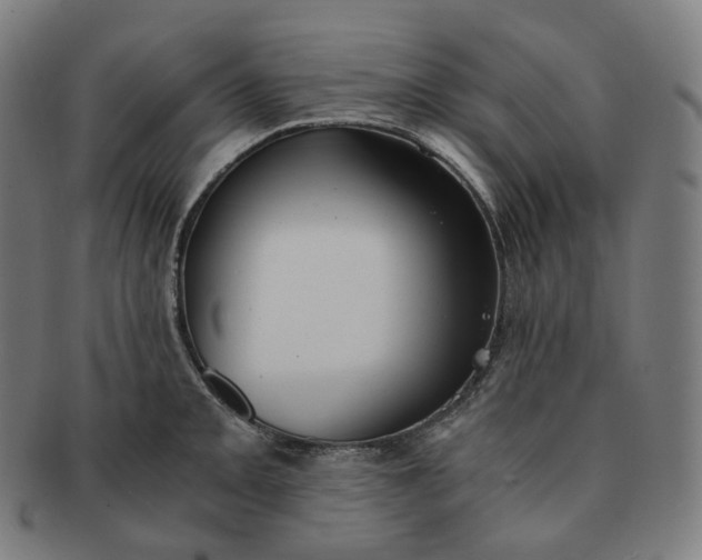 X0000091301093200708241045