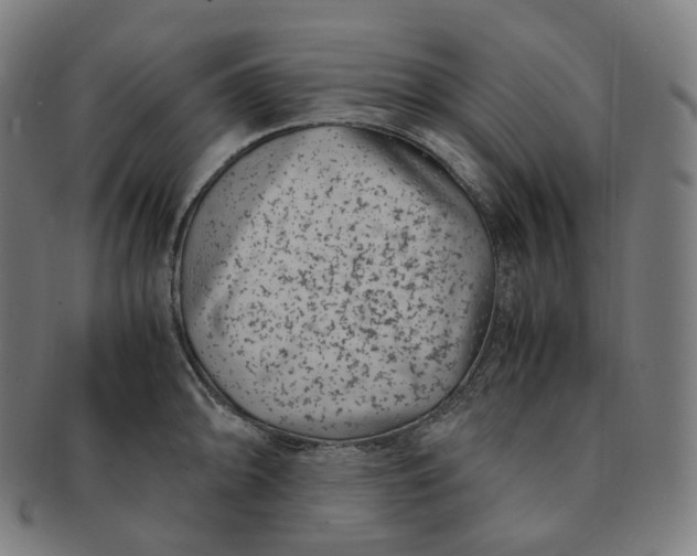 X0000091301094200708241045