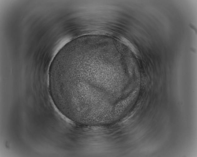 X0000091301095200708241045