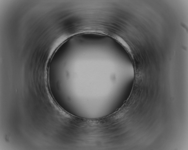 X0000091301096200708241045