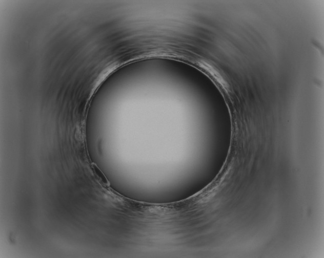 X0000091301097200708241045