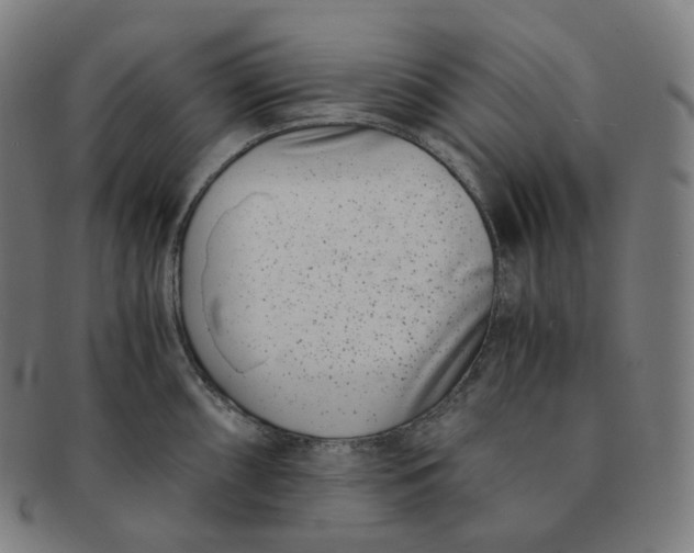 X0000091301098200708241045