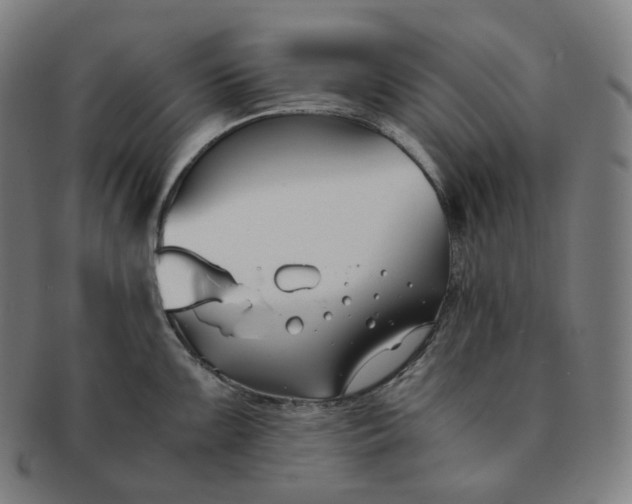 X0000091301099200708241045