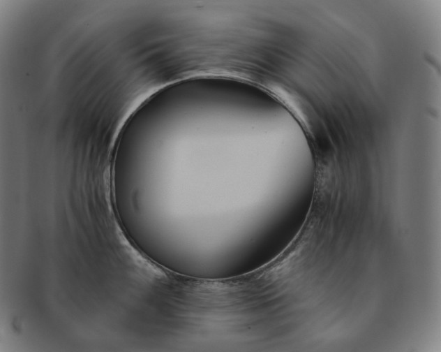 X0000091301100200708241045