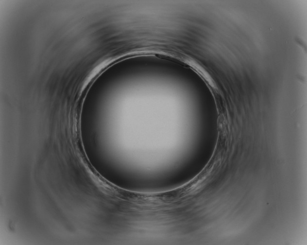 X0000091301101200708241045