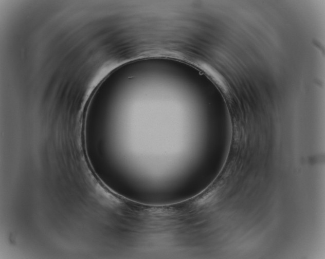 X0000091301102200708241045