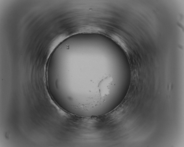 X0000091301103200708241045