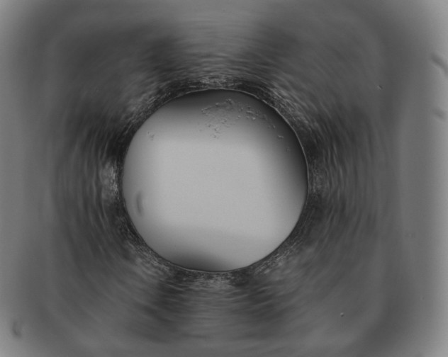 X0000091301106200708241044