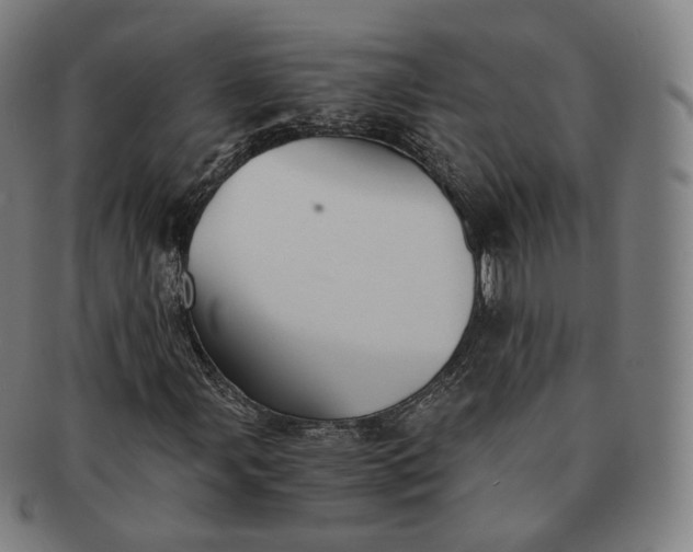 X0000091301107200708241045