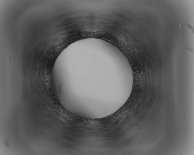 X0000091301109200708241045