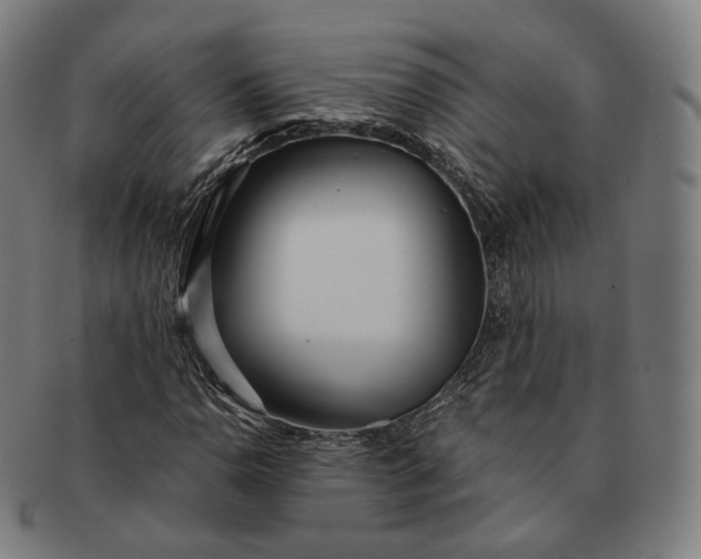 X0000091301110200708241045