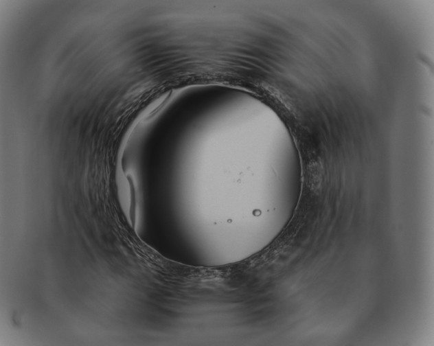 X0000091301111200708241045