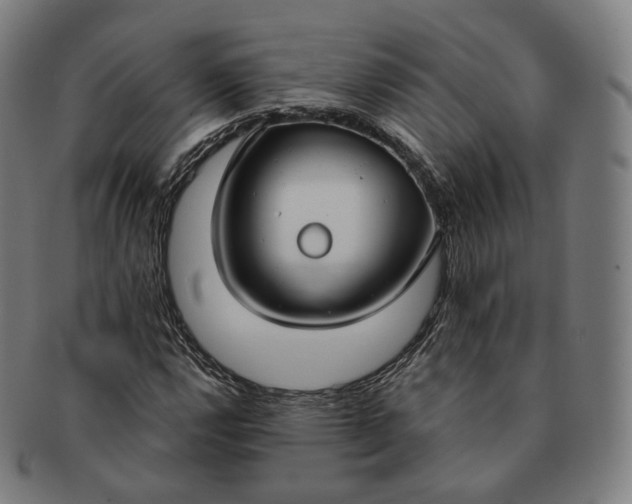 X0000091301112200708241045