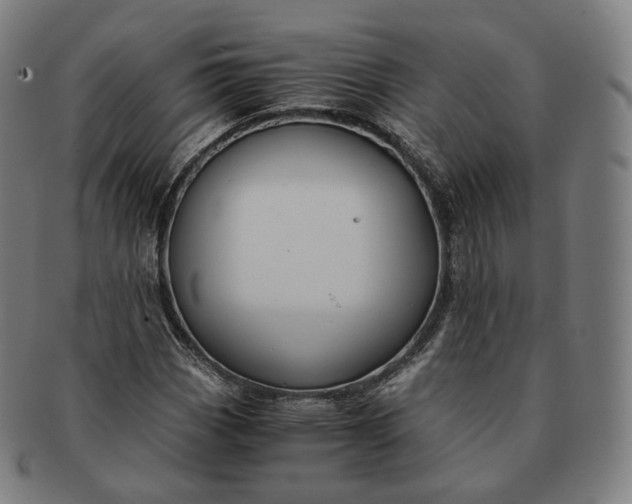 X0000091301113200708241045