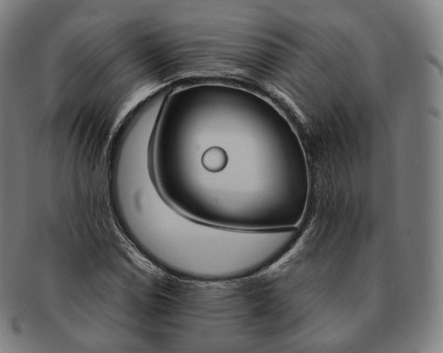 X0000091301114200708241045