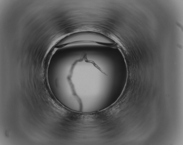 X0000091301116200708241045