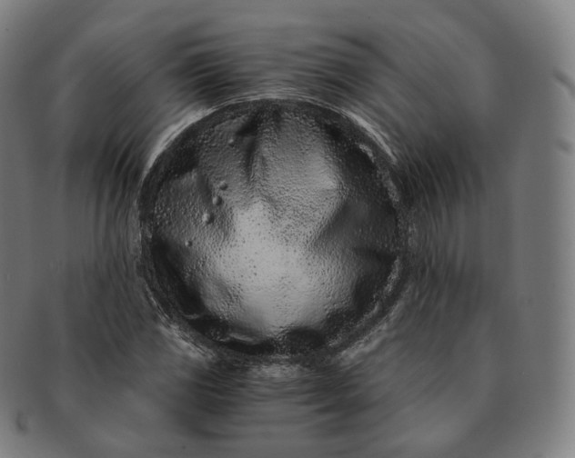 X0000091301117200708241045