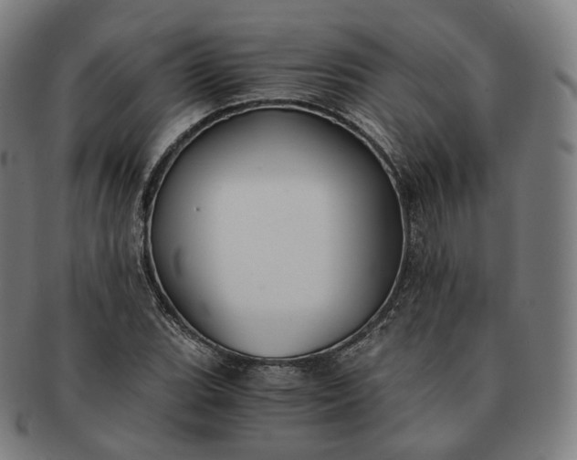 X0000091301119200708241045