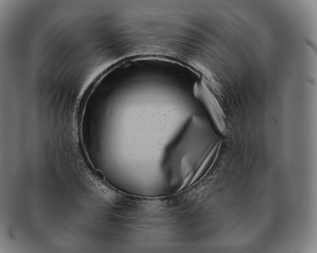 X0000091301120200708241045