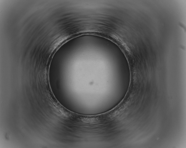 X0000091301121200708241045