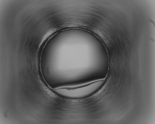 X0000091301122200708241045